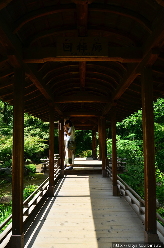 Лето в саду Сёсэй-эн Киото, Япония