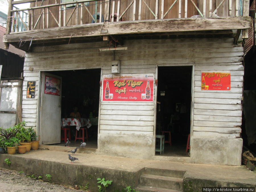 Пивной бар Котонг, Мьянма
