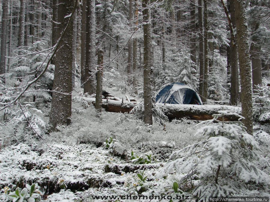 Наша палатка, в которой прожили 4 дня Синевир Национальный Парк, Украина