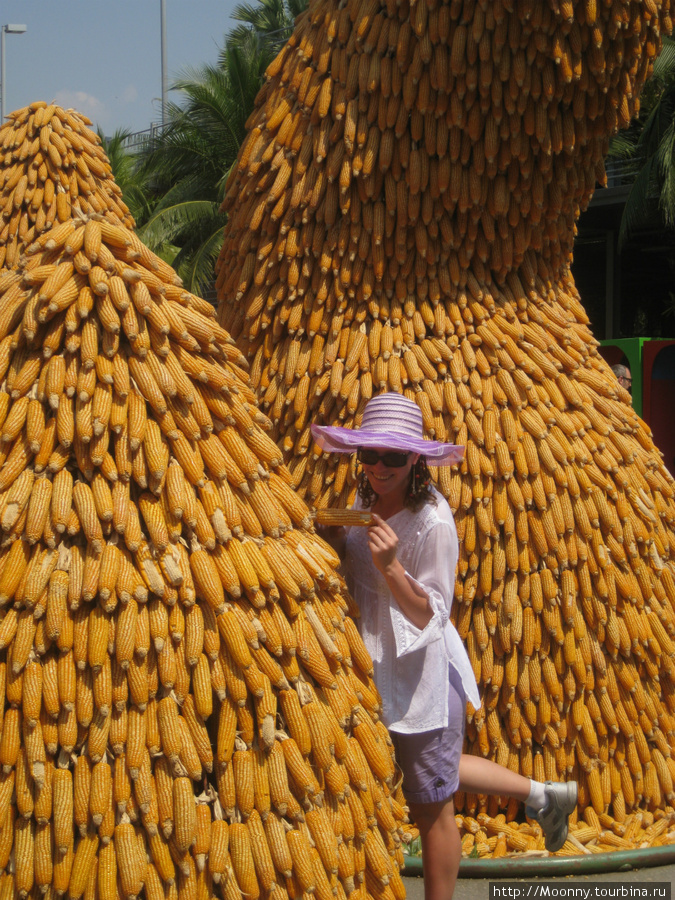 Любителям кукурузы посвящается =) Канчанабури, Таиланд