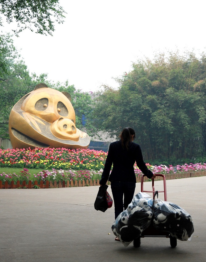 Работник центра развозит панд по клеткам:) Чэнду, Китай