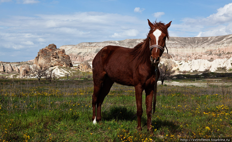 Страна прекрасных лошадей Каппадокия - Гереме Национальный Парк, Турция