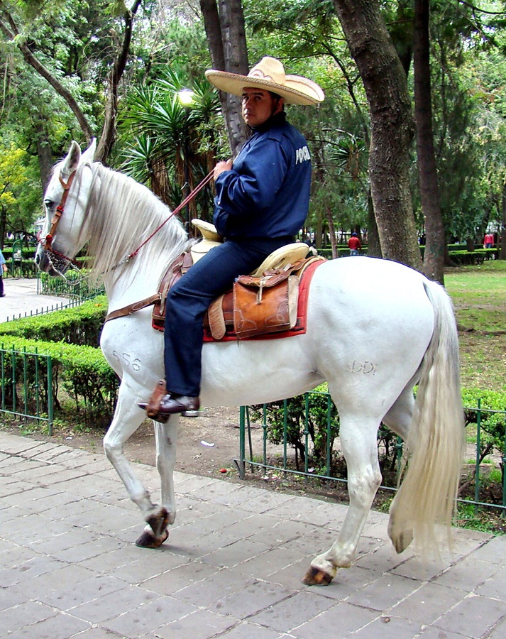 Полицейский в одном из парков города. Мехико, Мексика