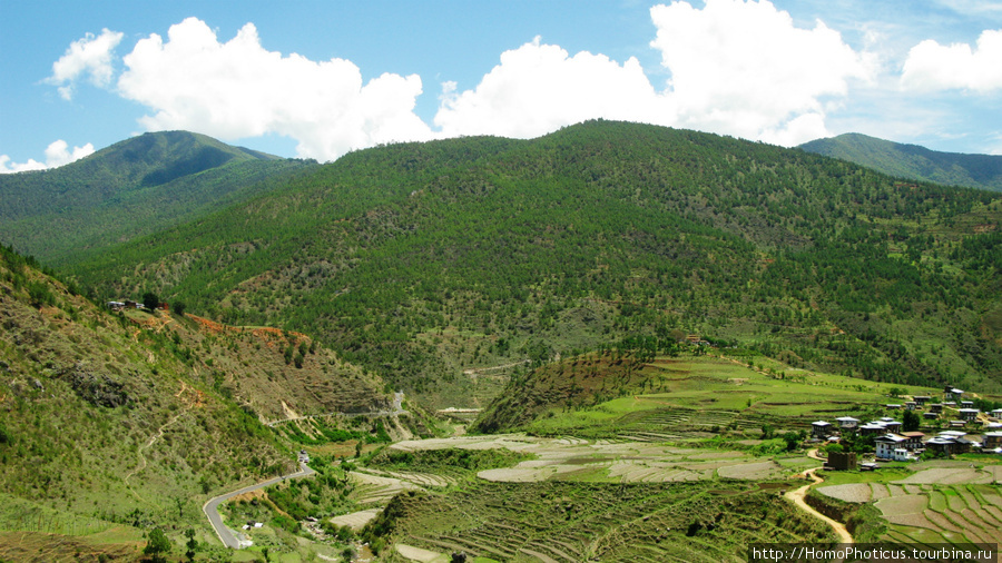 Долина Ловеса Район Пунакха, Бутан