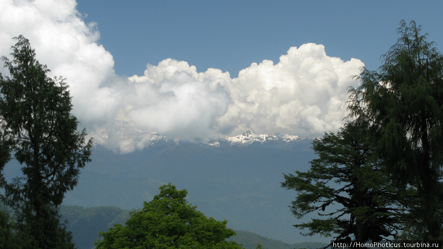 Высокие Гималаи Район Пунакха, Бутан