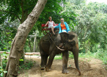 Один из этих слонов был нашим спутником по джунглям, а вернее мы его спутники