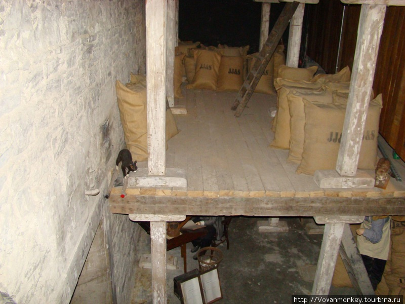 Главные работники завода, оберегают зерно от мышей. Дублин, Ирландия
