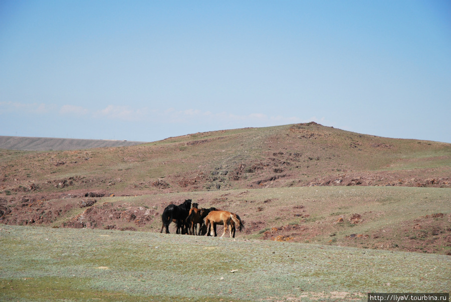 Горы и и не только Алматинская область, Казахстан