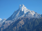 Мачхапучра (переводится с непальского как рыбий хвост) — священная гора. Хотя в треке перед АВС есть базовый легерь Мачхапучры, залезать на нее запрещено (видимо непальцы боятся что нога альпиниста осквернит ее). Только одна экспедиция до запрета успела сделать попытку восхождения — не добрались 40 м до вершины.