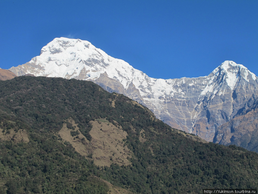 Слева — одна из вершин Аннапурны, справа — Хиун-Чули Национальный парк Аннапурны, Непал