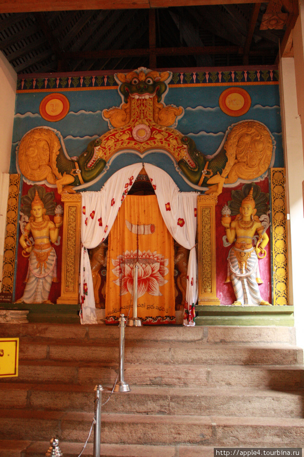 Шри-Ланка: Ферма слонов, Храм зуба Будды,Королев. Ботан.сад Шри-Ланка