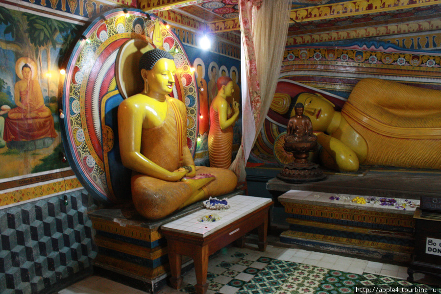 Шри-Ланка: Ферма слонов, Храм зуба Будды,Королев. Ботан.сад Шри-Ланка