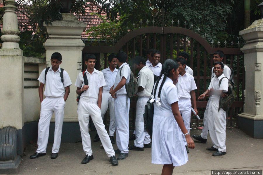 школьники Шри-Ланка