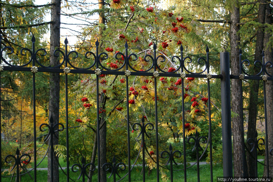 ограда парка Москва, Россия