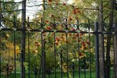 ограда парка