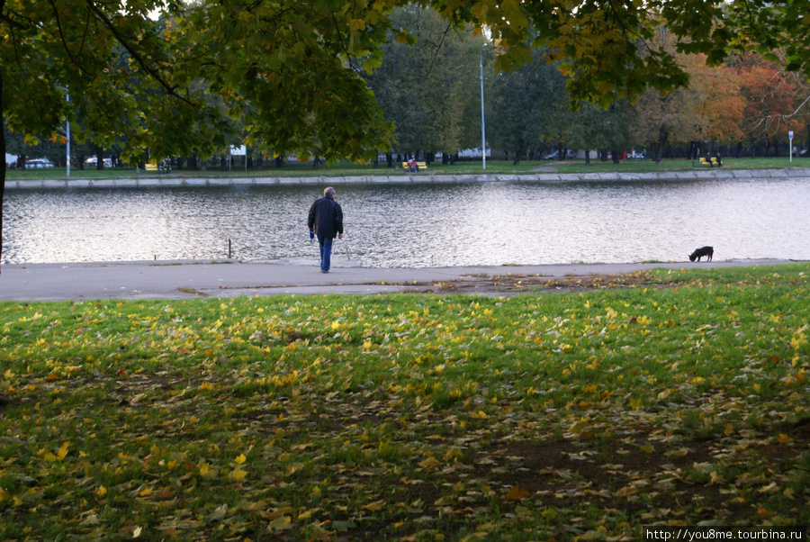 пруд в осеннем парке — место прогулок Москва, Россия