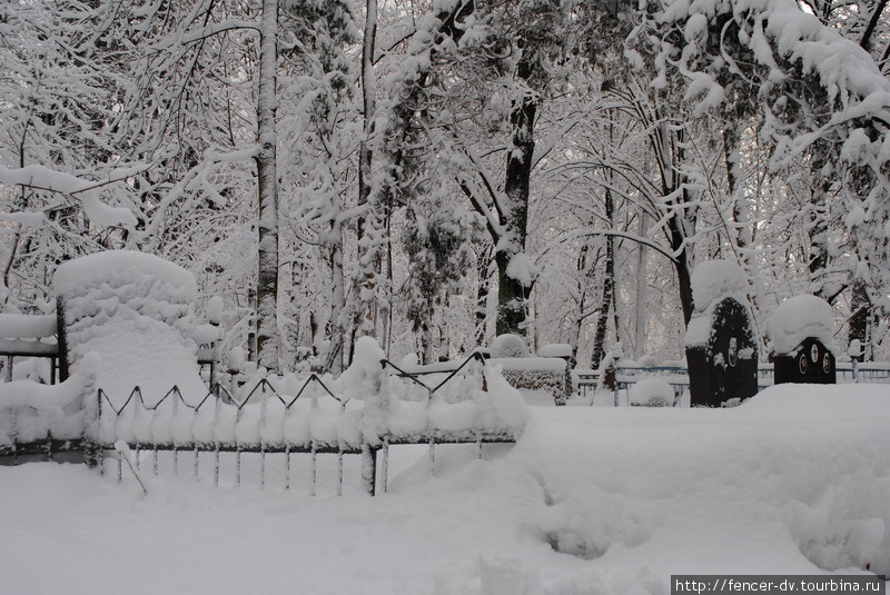 Снежное царство старого кладбища Калининград, Россия