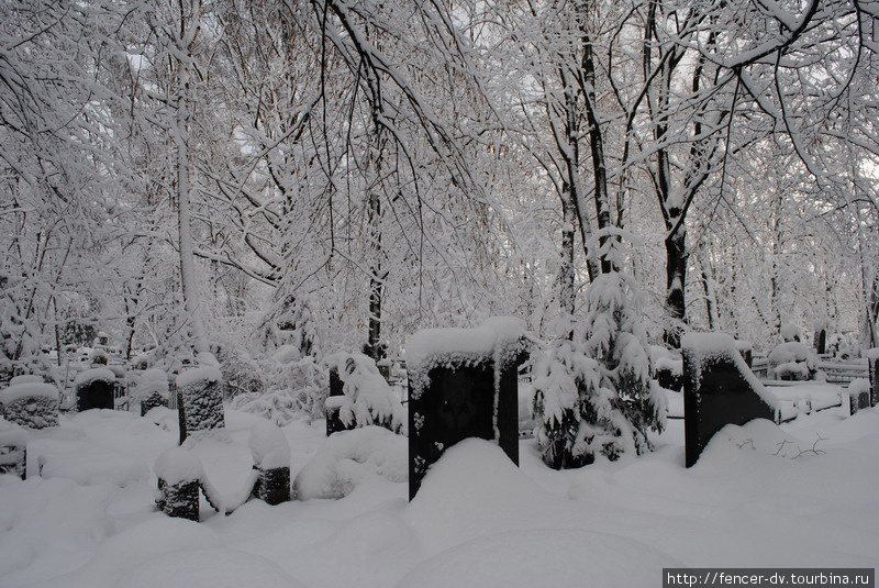 Снежное царство старого кладбища Калининград, Россия