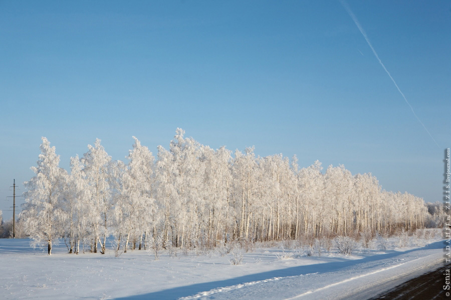 Это дорога в Татарстане. Тоже очень красиво. Мы тут были летом, зимой все выглядит по другому. Татарстан, Россия