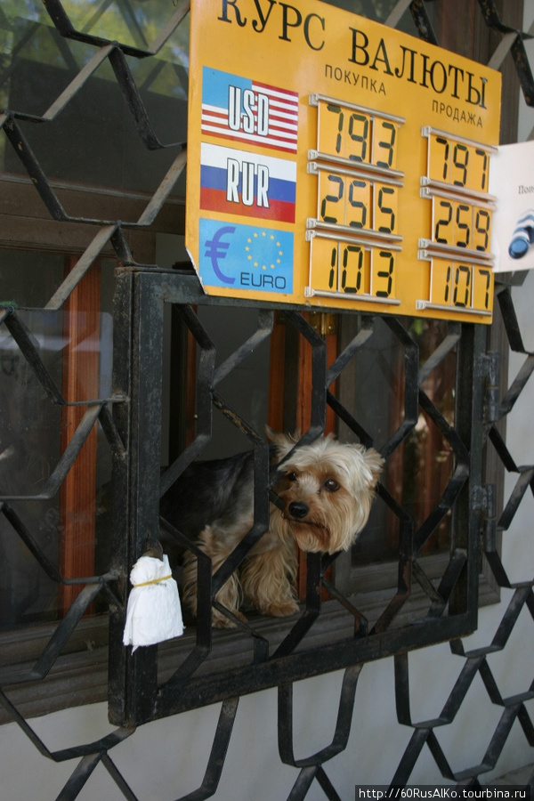 2010 Сентябрь. Севастополь. Возвращение в лето Севастополь, Россия