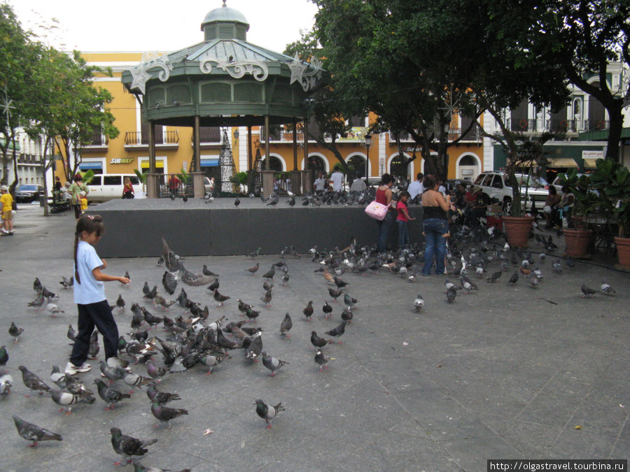 Кормление голубей на центральной площади Сан-Хуан, Пуэрто-Рико