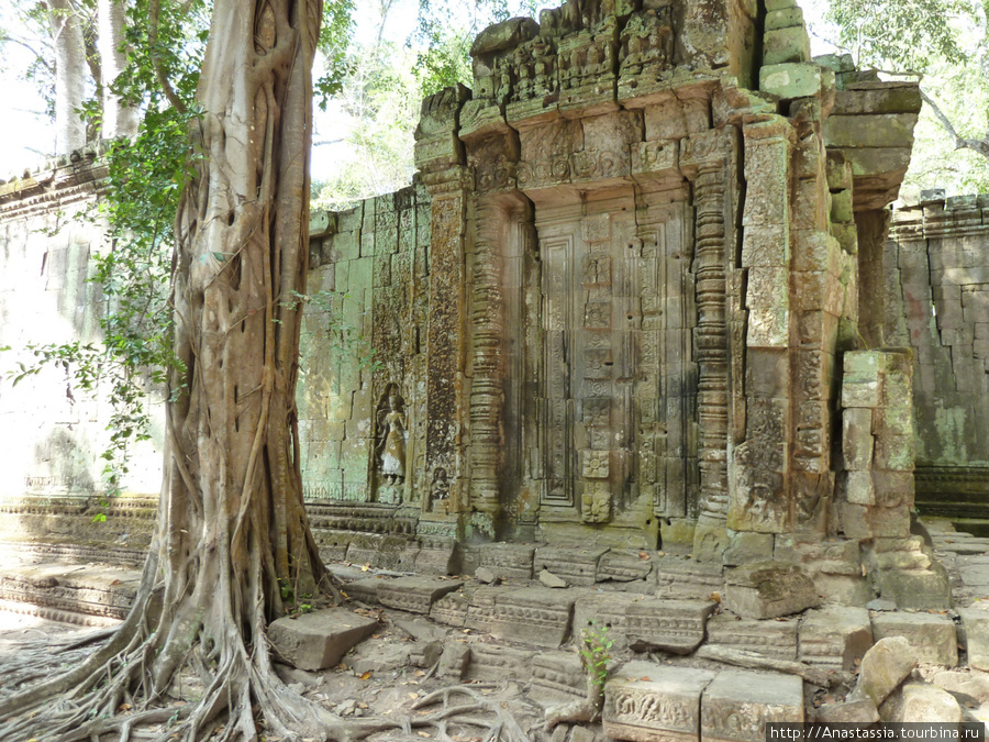 Та Пром, Маугли и Лара Крофт Ангкор (столица государства кхмеров), Камбоджа