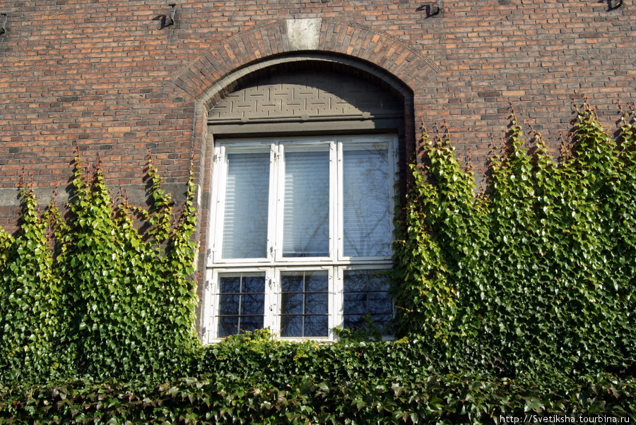 Многие здания в городе заросли зеленью Копенгаген, Дания