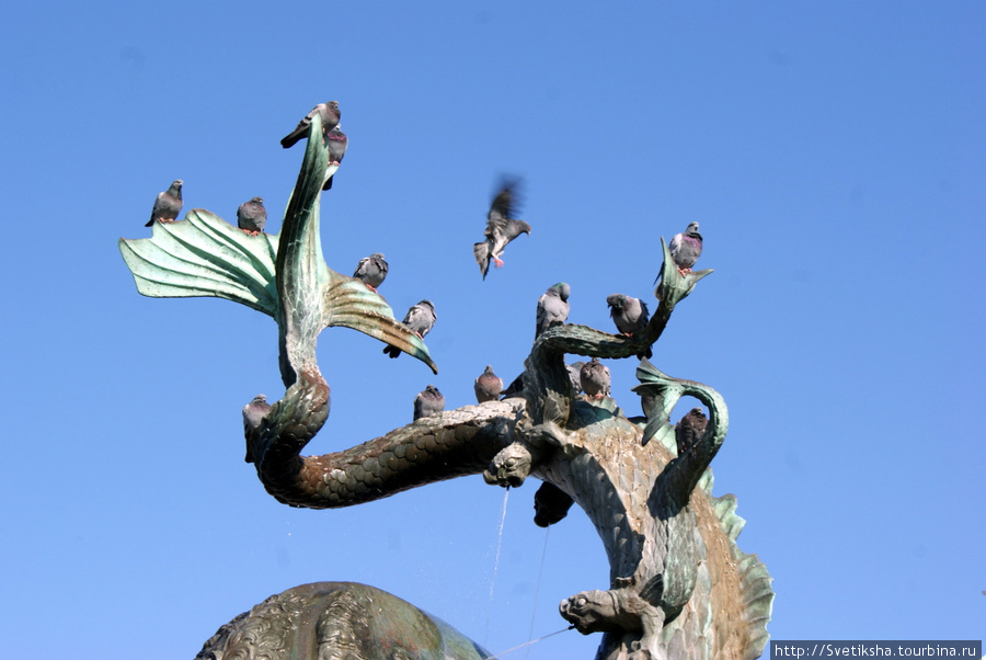 Голуби на фонтане Копенгаген, Дания