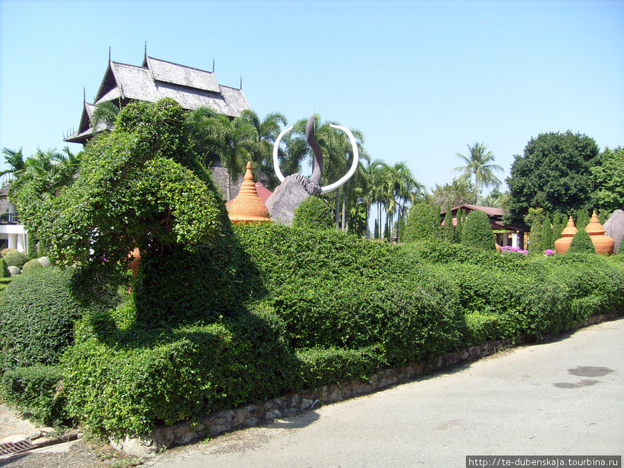 Зеленый дракон. Паттайя, Таиланд