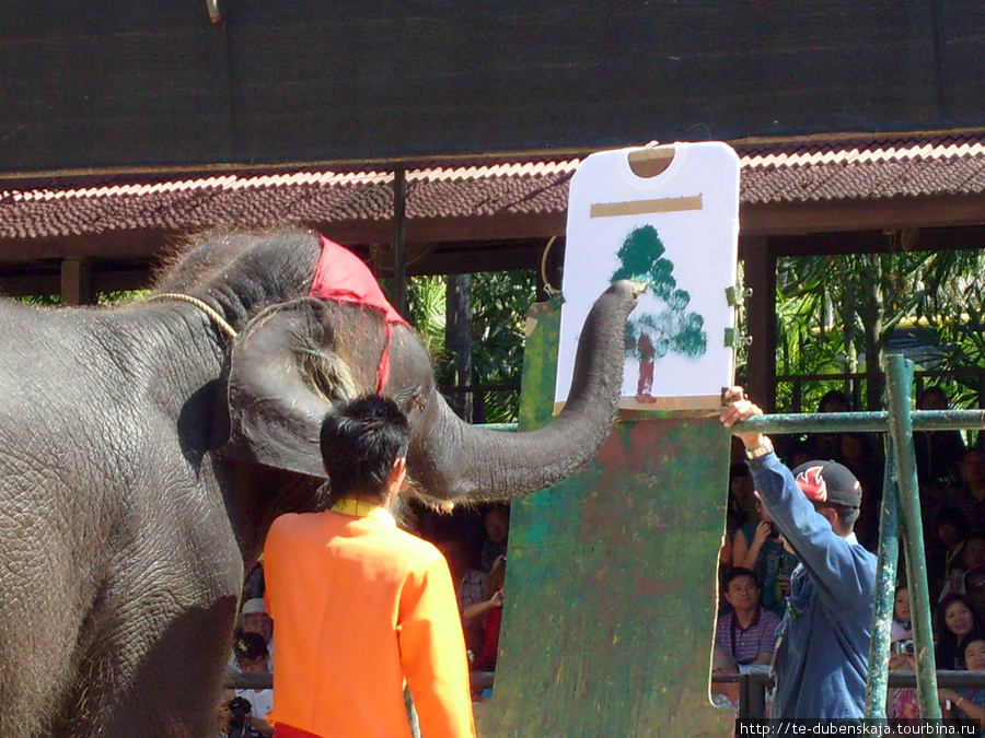 Слон — художник. Паттайя, Таиланд