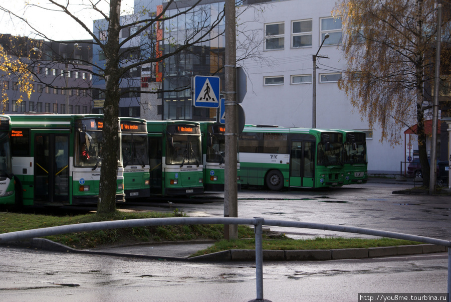 автобусы Таллин, Эстония