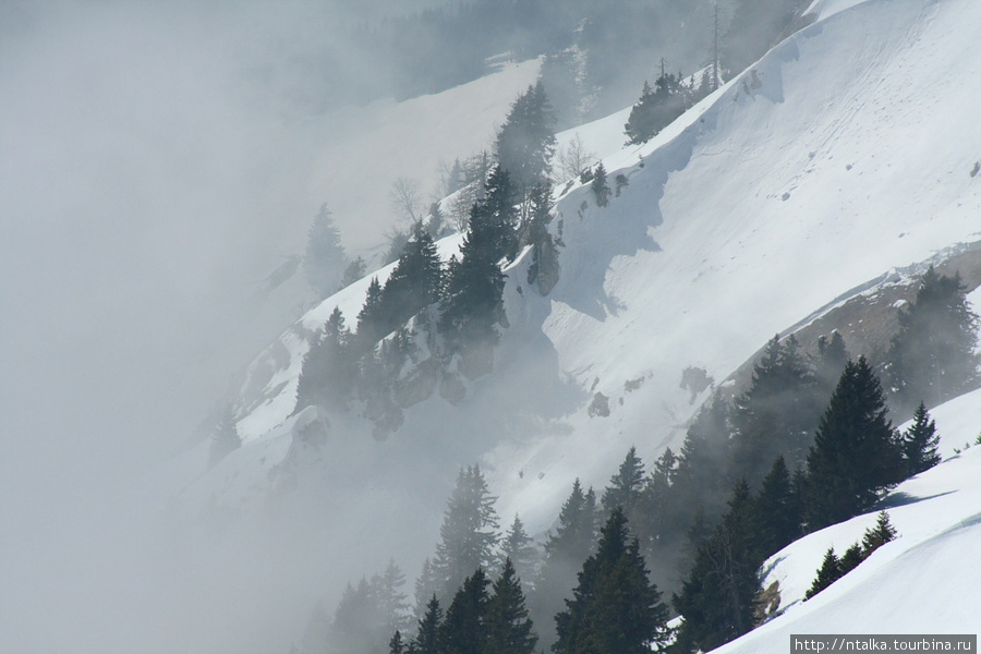 Rochers-de-Naye Монтрё, Швейцария