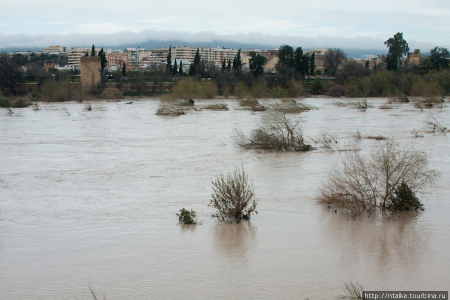 Кордоба - поля, наводнение и старый город :) Кордова, Испания
