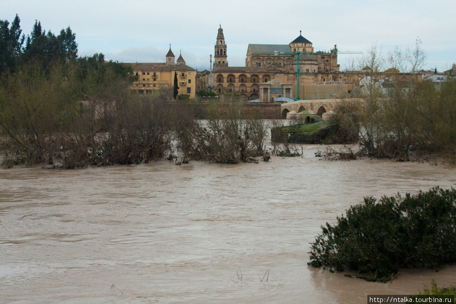Кордоба - поля, наводнение и старый город :) Кордова, Испания
