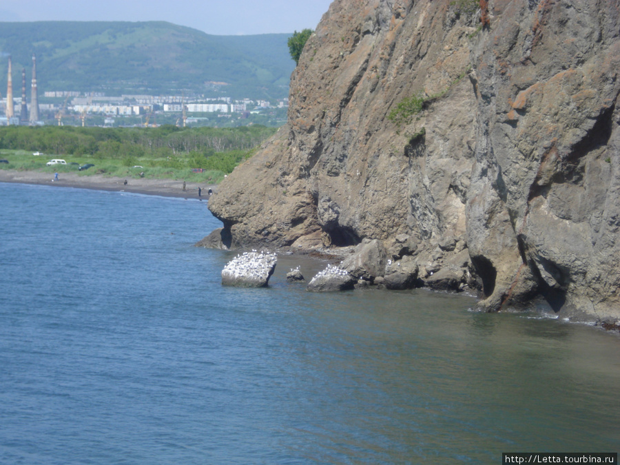 Бухта Малая Лагерная Петропавловск-Камчатский, Россия