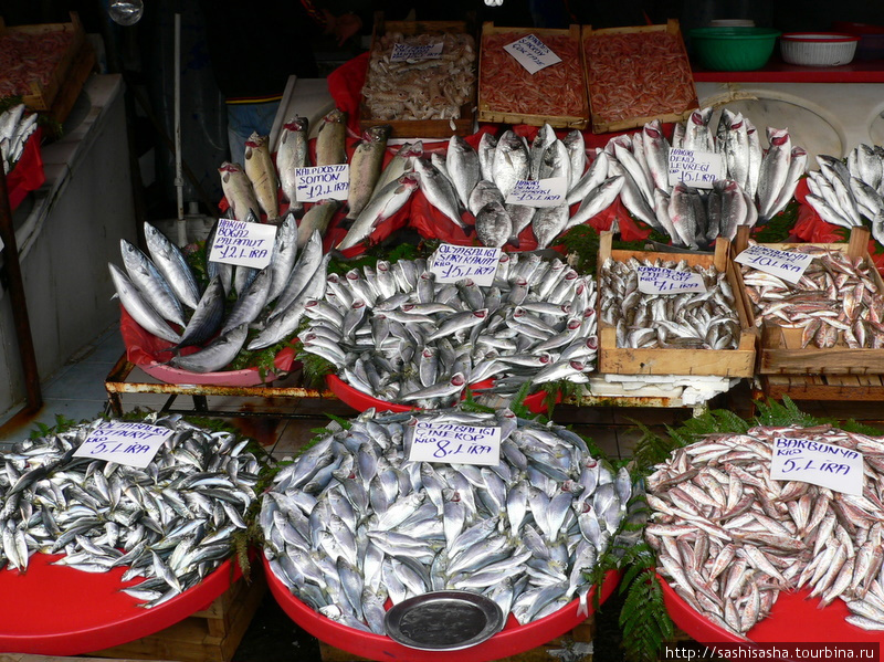 Рыбный рынок Стамбула Стамбул, Турция