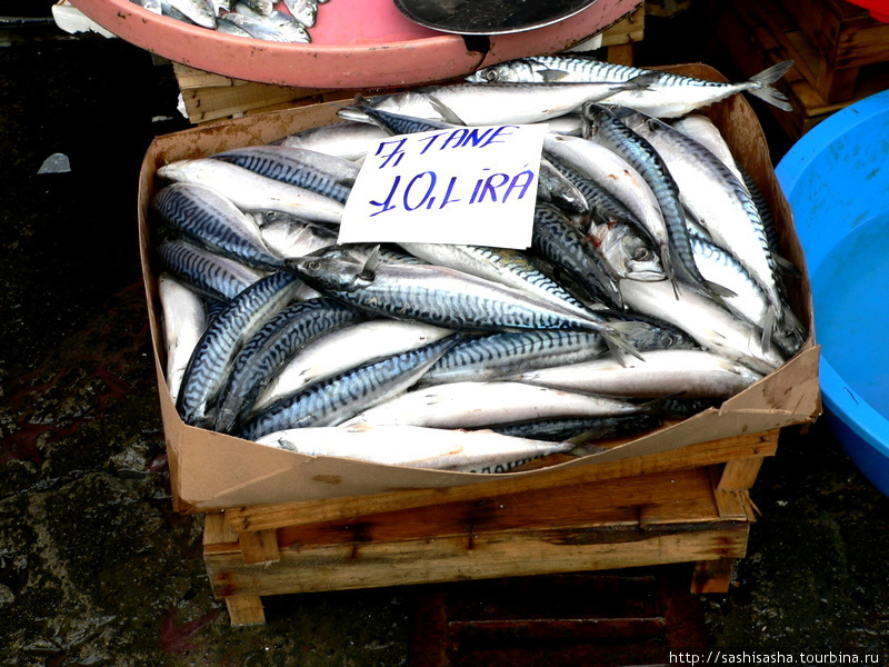 Рыбный рынок Стамбула Стамбул, Турция