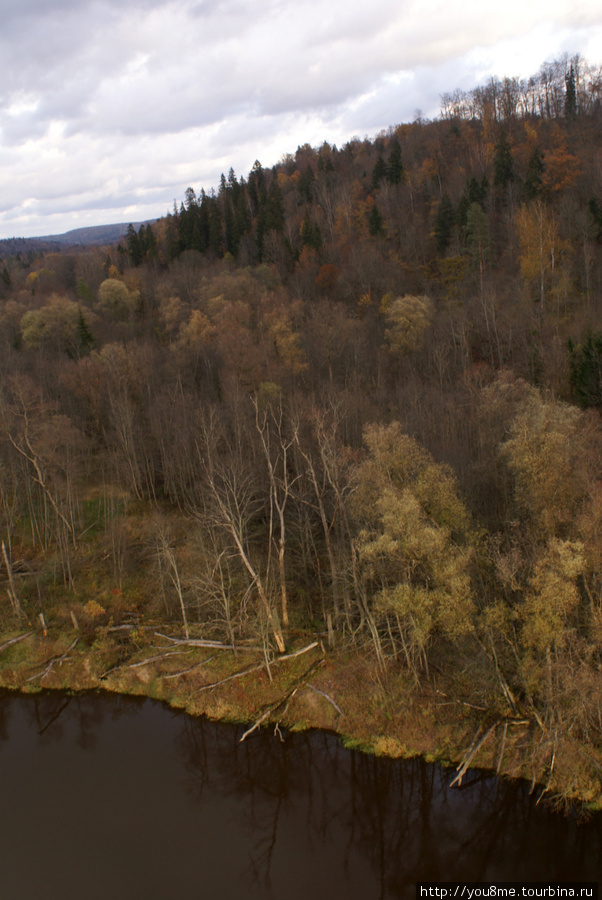 река и лес Сигулда, Латвия