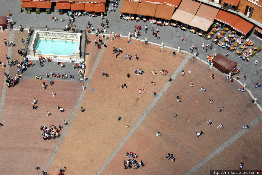 Кусок пьяццы дель Кампо, голуби на нижних фото сняты в бассейне слева. Сиена, Италия