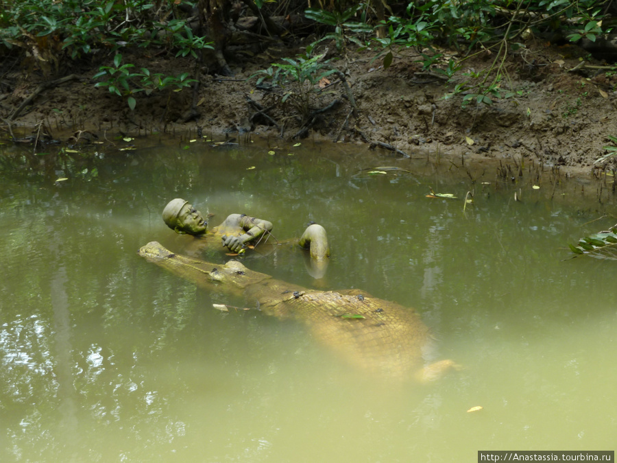 Десант не боялся умереть от пули, а вот крокодилов они боялись- утверждение гида. Хошимин, Вьетнам
