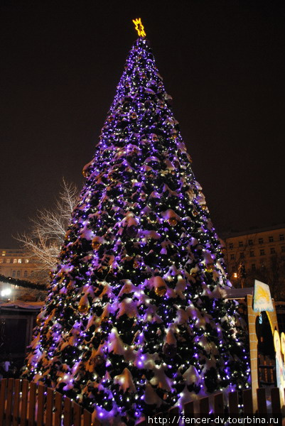 В последнее Рождество на Виноградах поставили роскошную елку Прага, Чехия