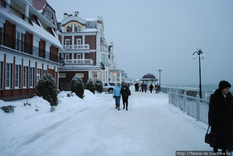 Гуляющих много несмотря на мороз Светлогорск, Россия