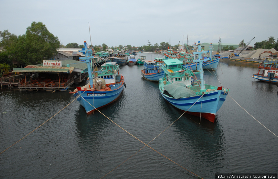 Морская жизнь островитян Остров Фу Куок, Вьетнам