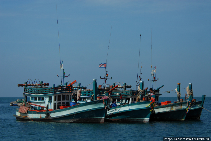 Морская жизнь островитян Остров Фу Куок, Вьетнам