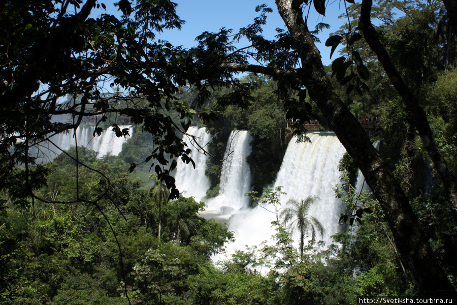 Купание в водопадах Игуасу Пуэрто-Игуасу, Аргентина