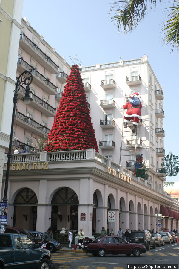 Елка из цветов, Санта-Клаус лезет на четвертый этаж — рождество на подходе! Веракрус, Мексика
