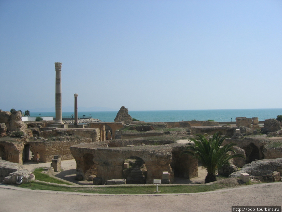 развалины Карфагена Тунис