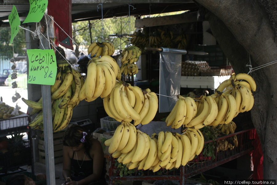 И бананы, из соседнего Табаско Кампече, Мексика