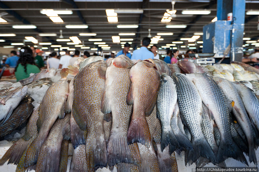 Рыба на рынке свежая, и поступает каждое утро напрямую с рыбацких лодок. Дубай, ОАЭ