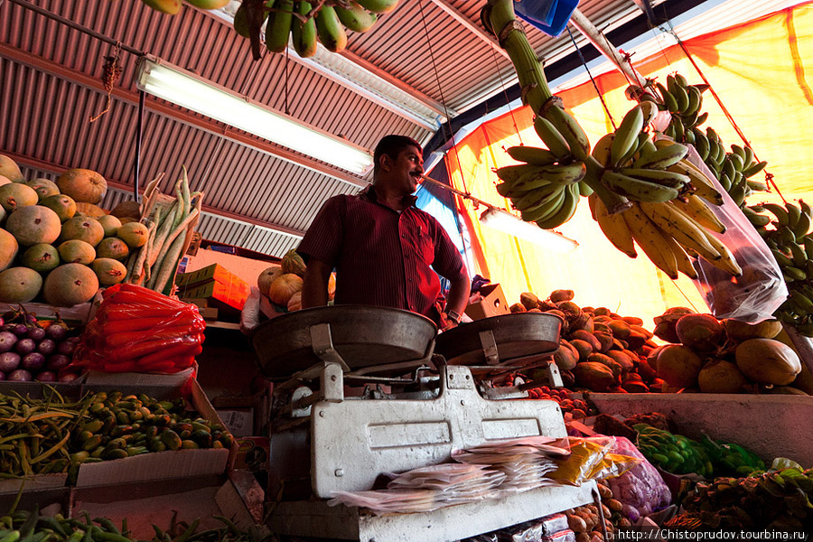 Продавец овощей. Дубай, ОАЭ